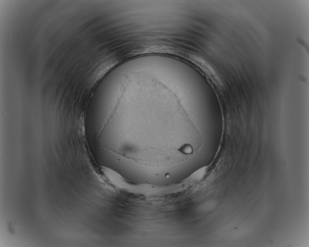 X0000090981241200708241356