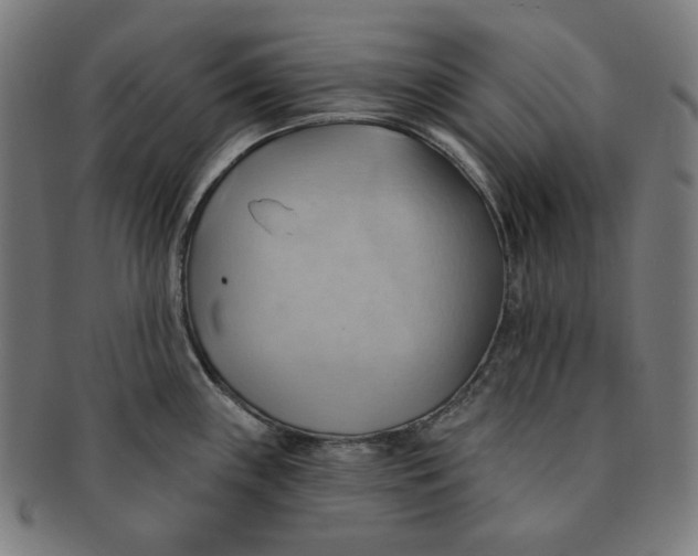 X0000090981243200708241356