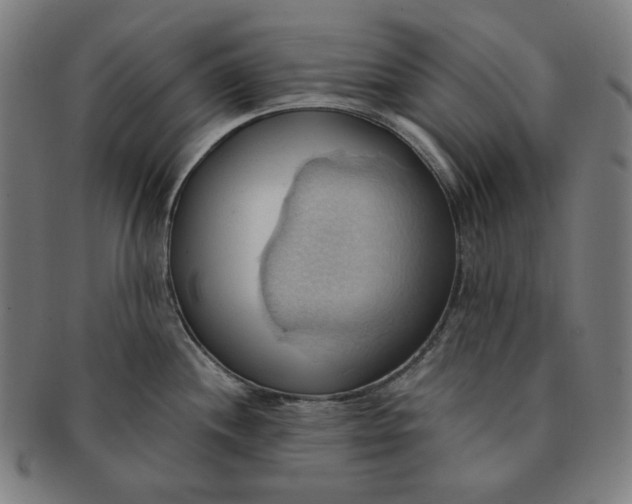 X0000090981244200708241356