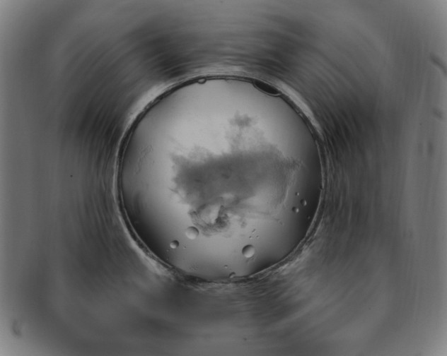 X0000090981245200708241356