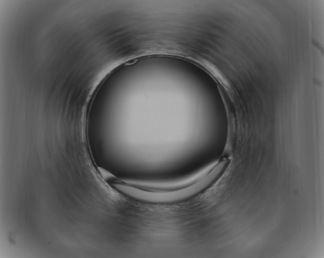 X0000090981246200708241356