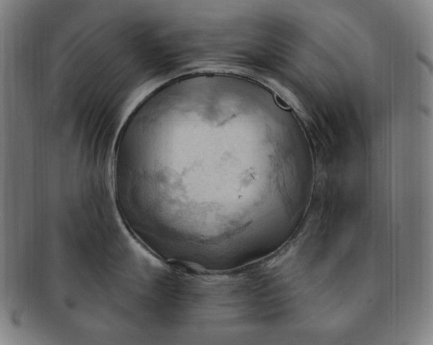 X0000090981247200708241356