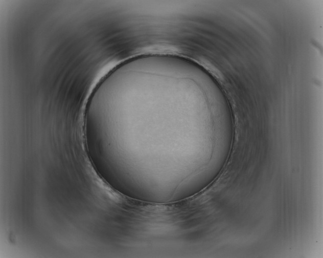 X0000090981248200708241356