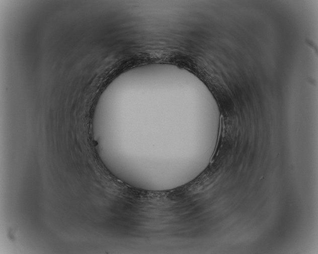 X0000090981249200708241355