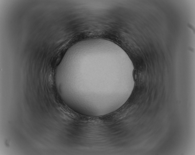 X0000090981250200708241355