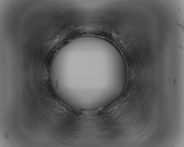 X0000090981253200708241355