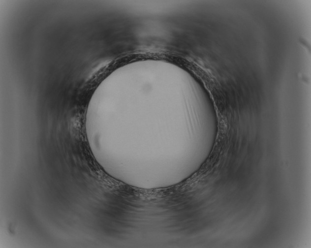 X0000090981254200708241355