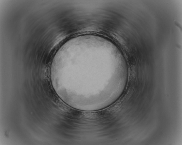 X0000090981258200708241355