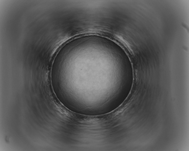 X0000090981260200708241355