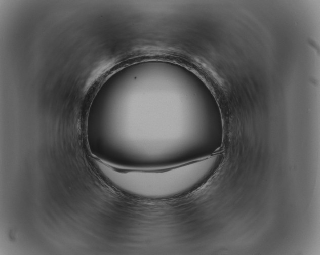 X0000090981261200708241355