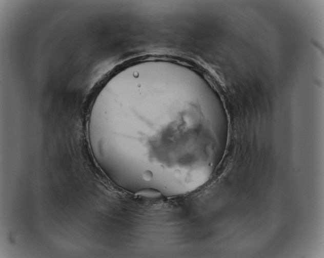 X0000090981263200708241355
