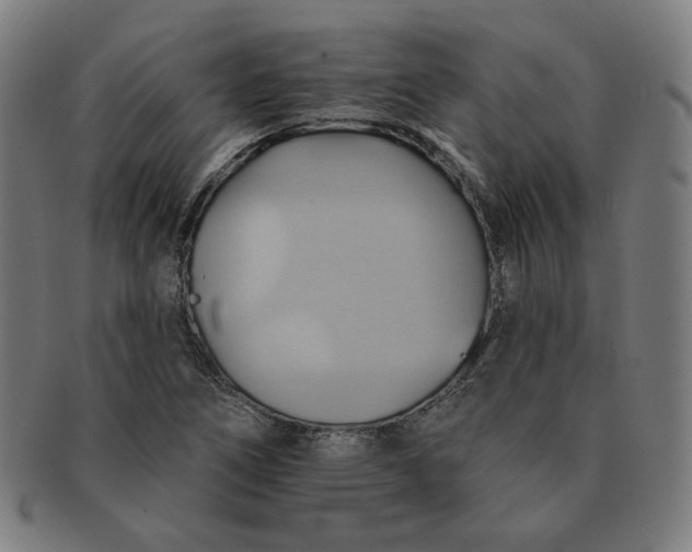X0000090981266200708241355