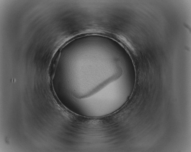 X0000090981268200708241355