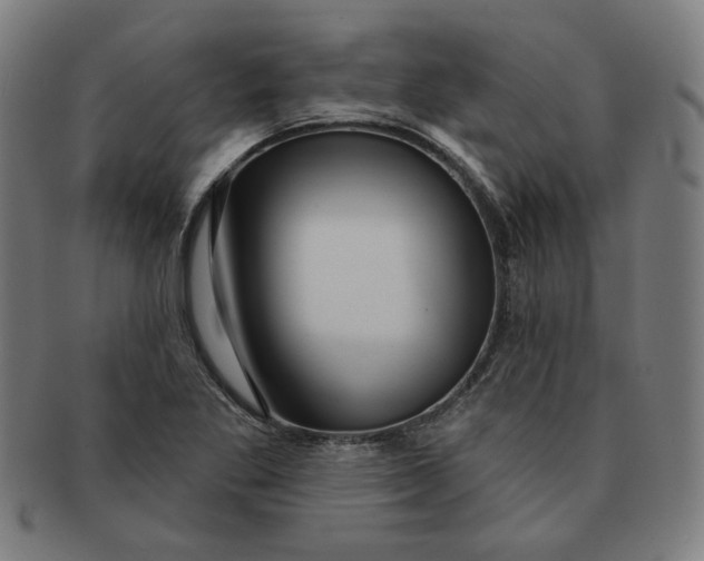 X0000090981269200708241355