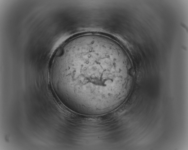 X0000090981271200708241355