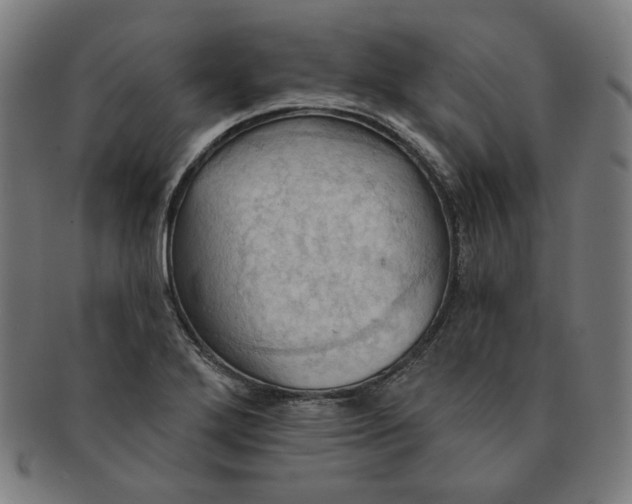 X0000090981272200708241355