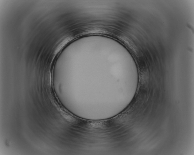 X0000090981274200708241355