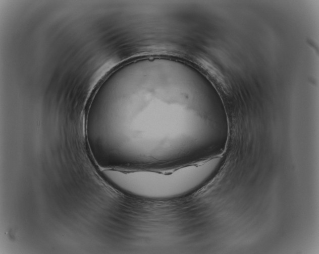 X0000090981275200708241355