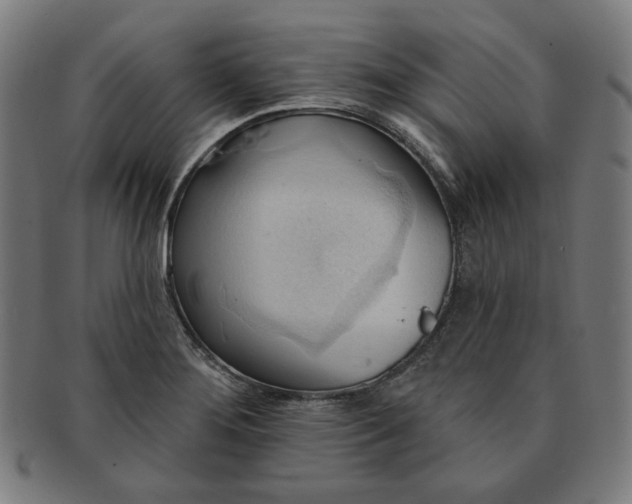 X0000090981276200708241355