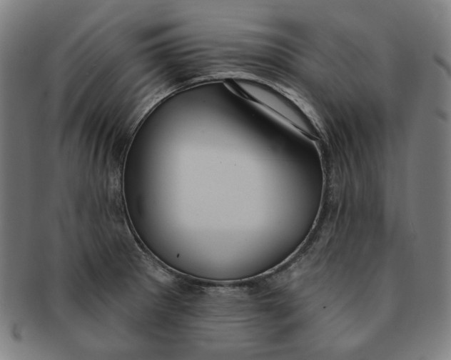 X0000090981281200708241355