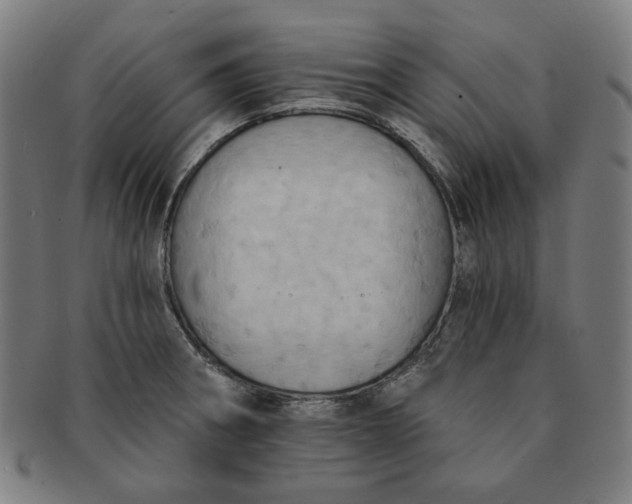 X0000090981282200708241355
