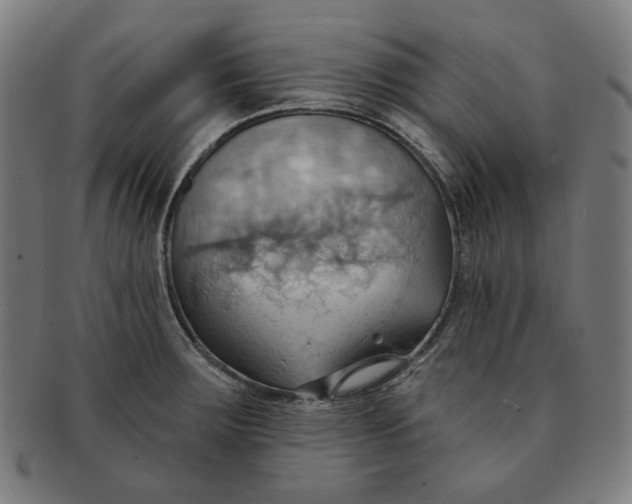 X0000090981283200708241355