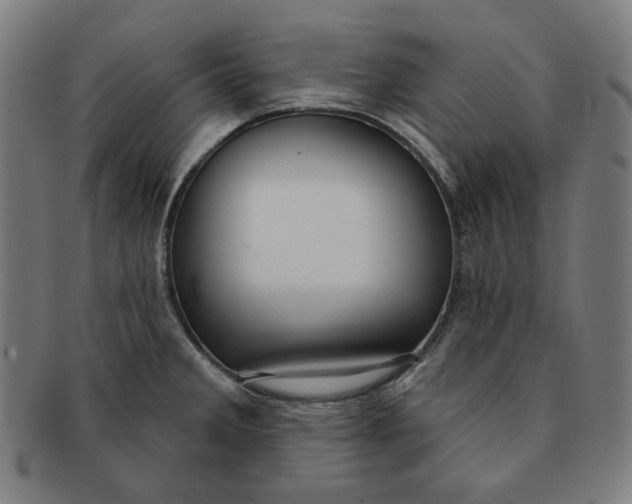 X0000090981285200708241355
