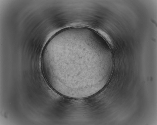 X0000090981288200708241355