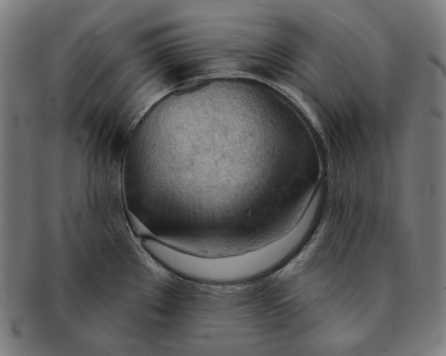 X0000090981289200708241354