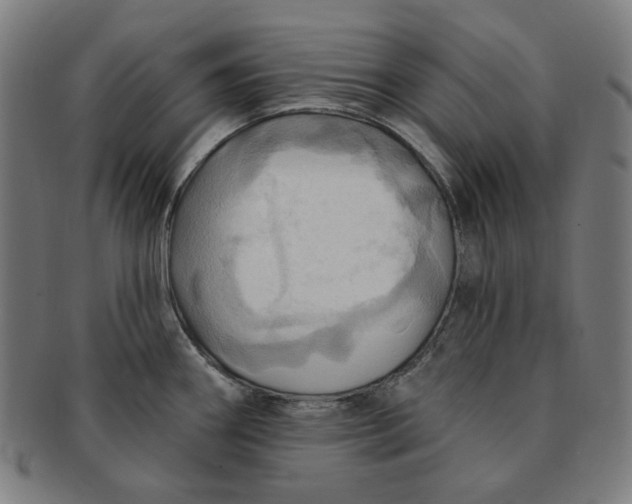 X0000090981290200708241354