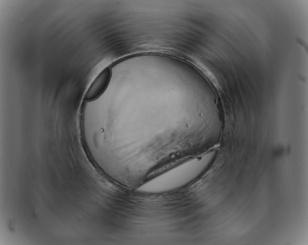 X0000090981291200708241354