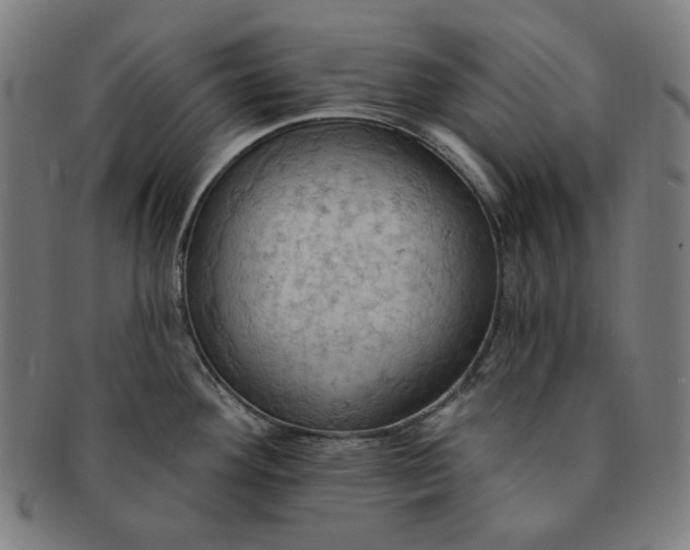 X0000090981292200708241354