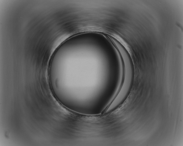 X0000090981293200708241354