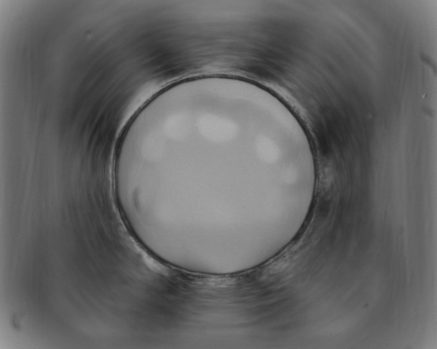 X0000090981294200708241354