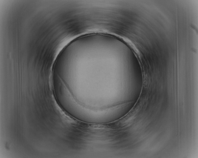 X0000090981295200708241354