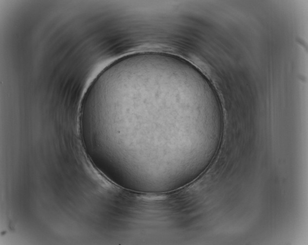X0000090981296200708241354