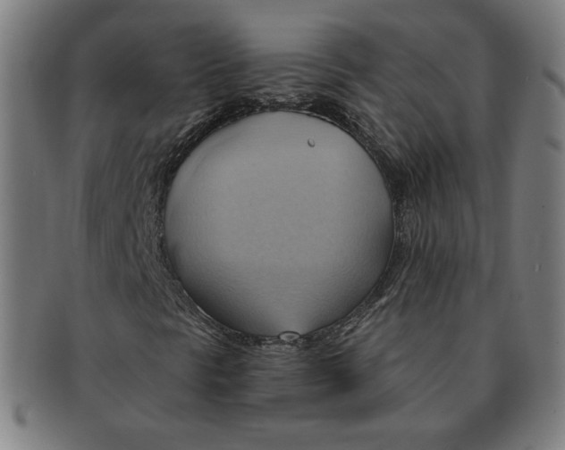 X0000090981297200708241354