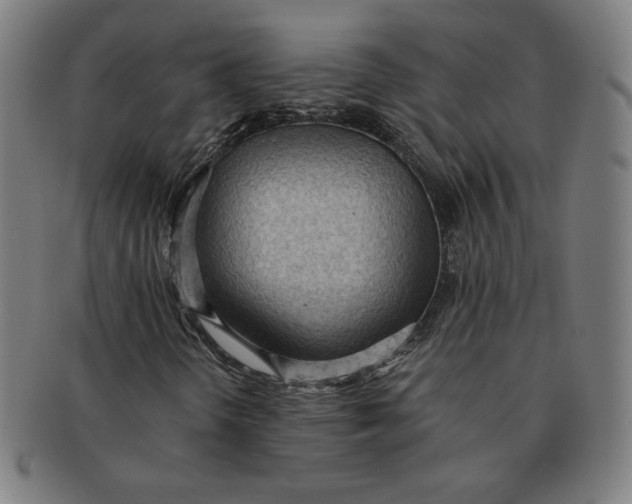 X0000090981298200708241354