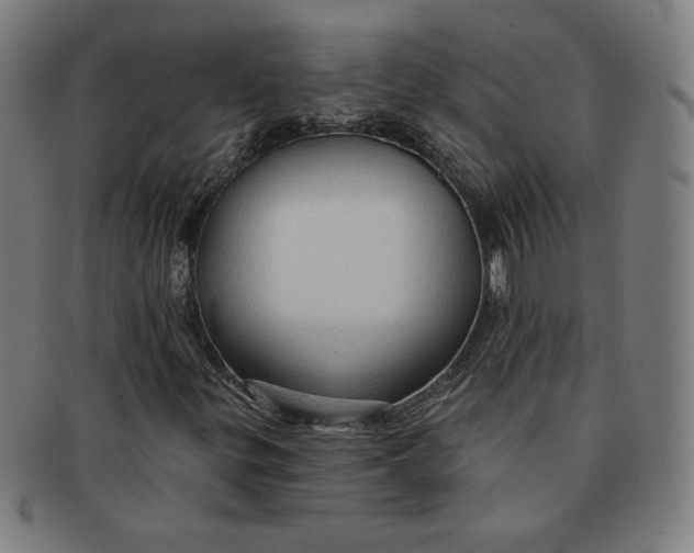 X0000090981299200708241354