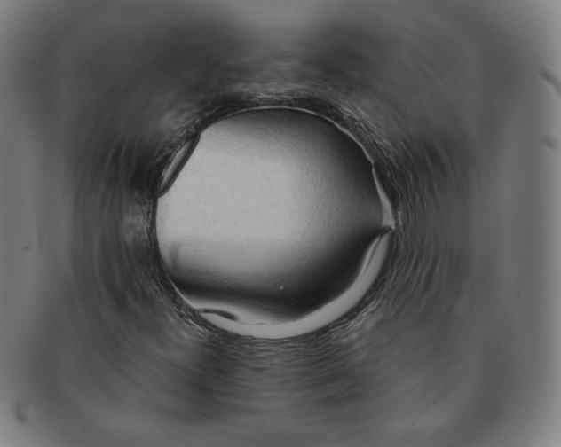 X0000090981300200708241354