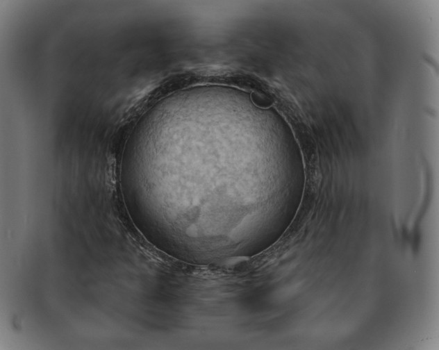 X0000090981301200708241354