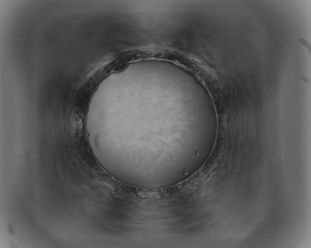 X0000090981302200708241354