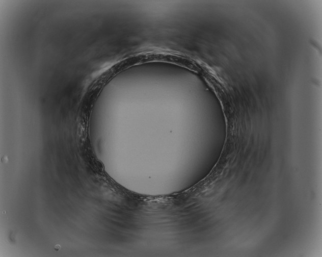 X0000090981303200708241354
