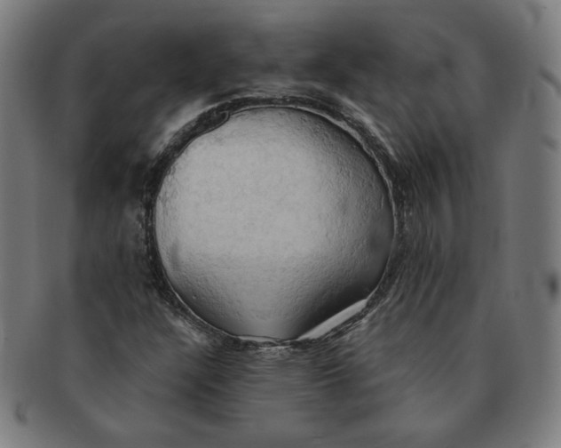 X0000090981304200708241354