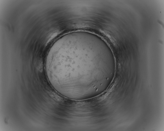 X0000090981306200708241354