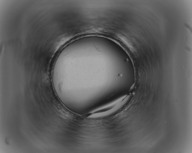 X0000090981308200708241354
