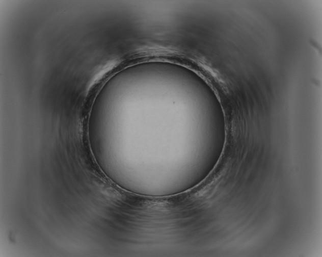 X0000090981309200708241354