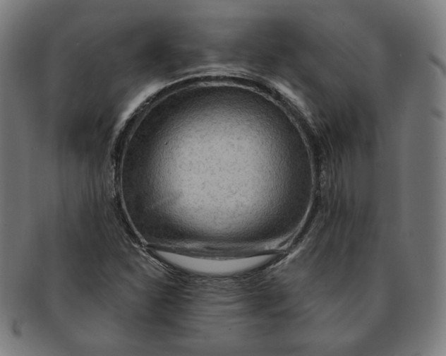 X0000090981310200708241354