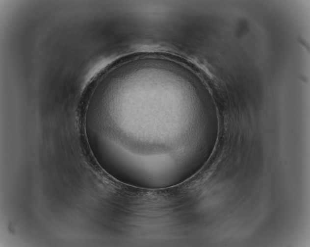 X0000090981311200708241354