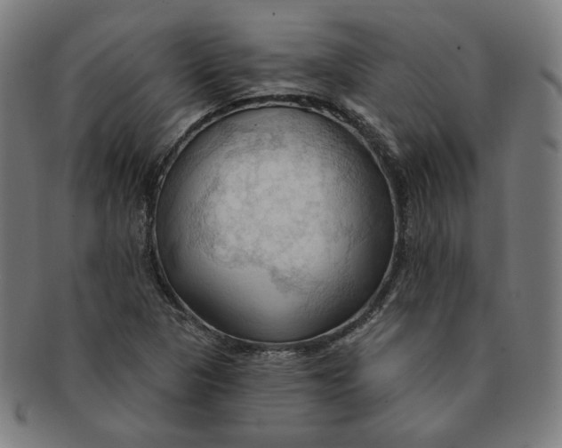 X0000090981313200708241354